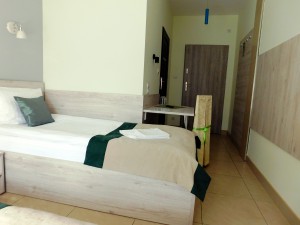 Pokój typu Standard z 2 łóżkami pojedynczymi (parter)